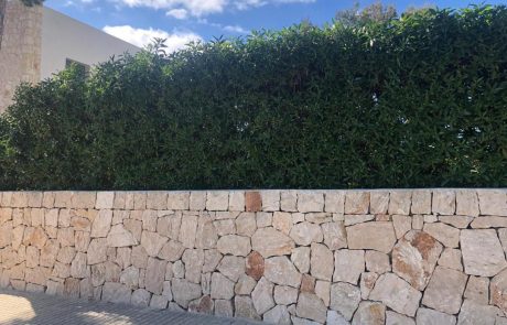 Steinmauerbau - Trockensteinmauern - Gartenmauerbau pared seco auf Mallorca durch Ihren Spezialisten Mallorca-Bauservice