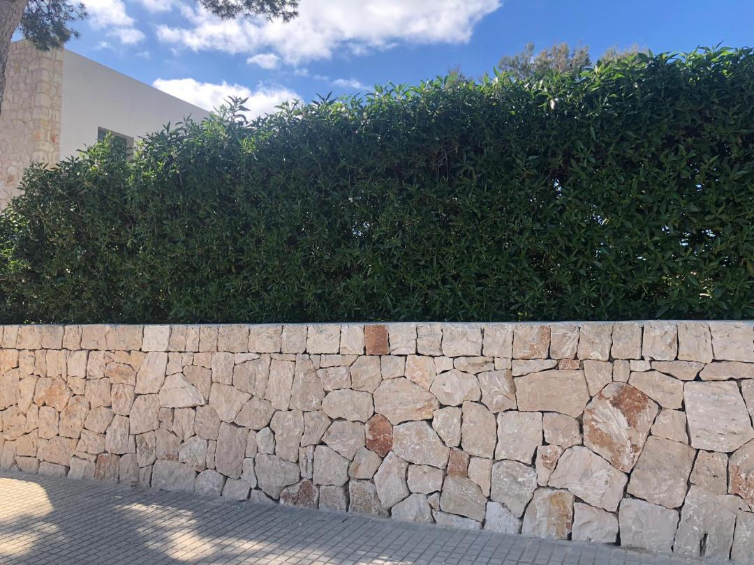 Steinmauerbau - Trockensteinmauern - Gartenmauerbau pared seco auf Mallorca durch Ihren Spezialisten Mallorca-Bauservice